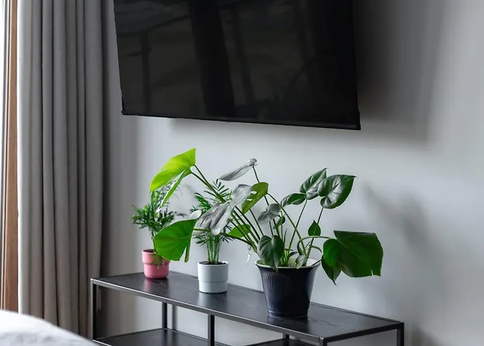 Apartman W Centrum- Wenecja *